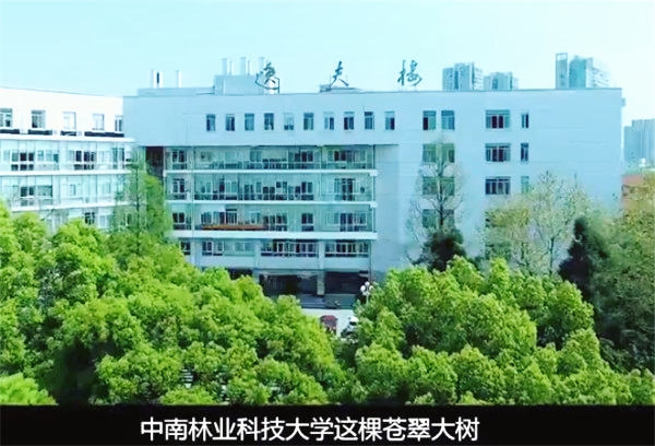 中南林业科技大学教务处电话_中南林业科技大学教务系统登录_中南林业科技大学教务处