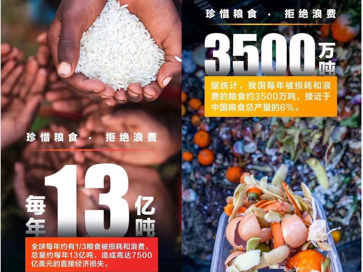 粮食日手抄报_粮食手抄报简单又漂亮_珍惜粮食手抄报