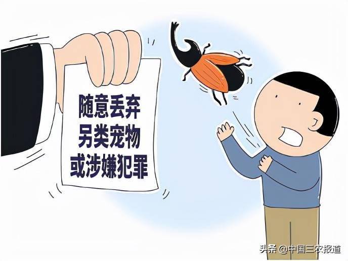 湖南理工大学院_湖南理工学院_理工学院湖南理工学院