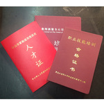 山东劳动职业技术学院_山东劳动职业技术学院学工系统_山东劳动职业技术学院院系