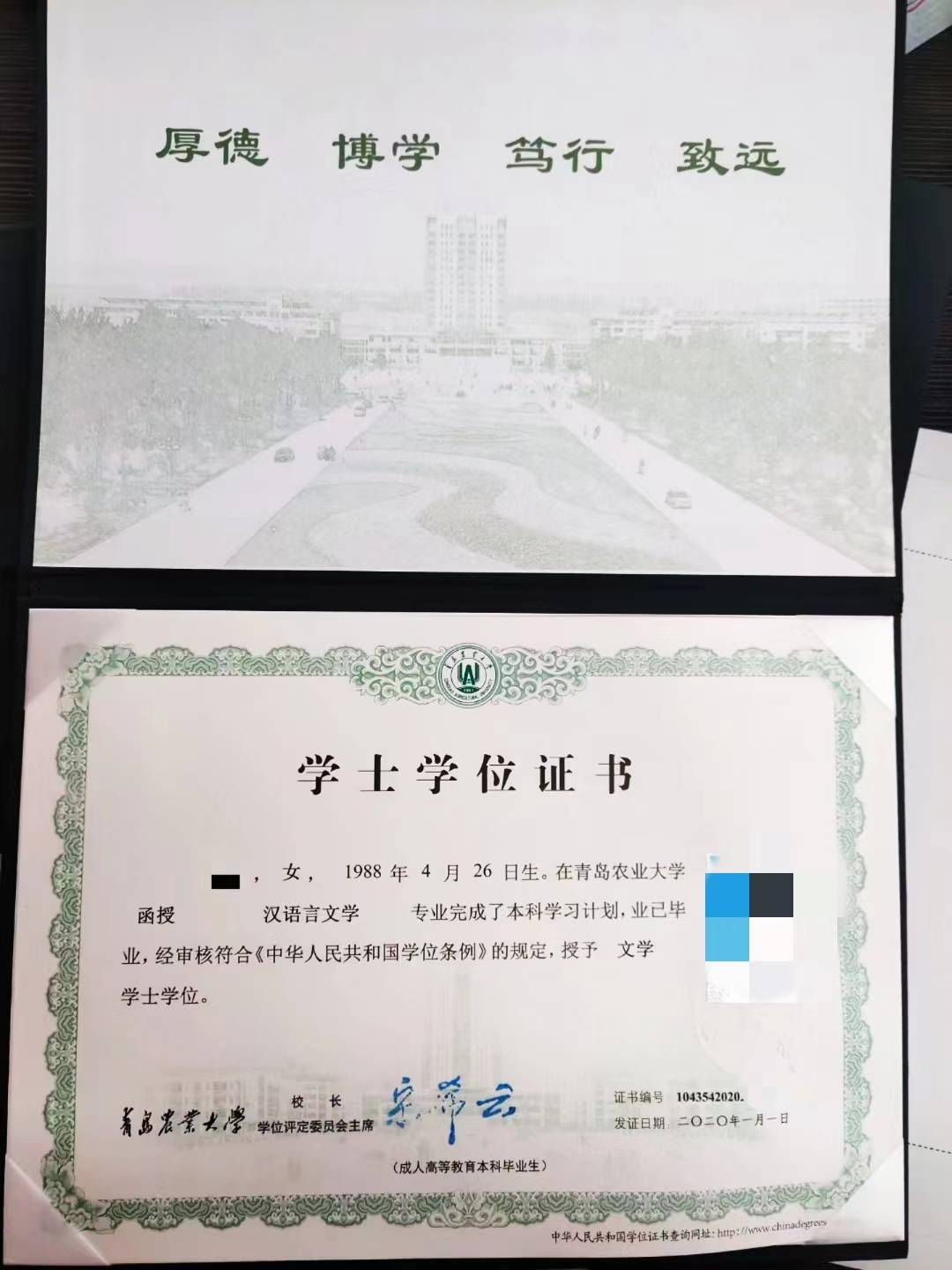 专插本与专升本有什么区别_专插本和专升本的区别_专插本和专升本一样吗