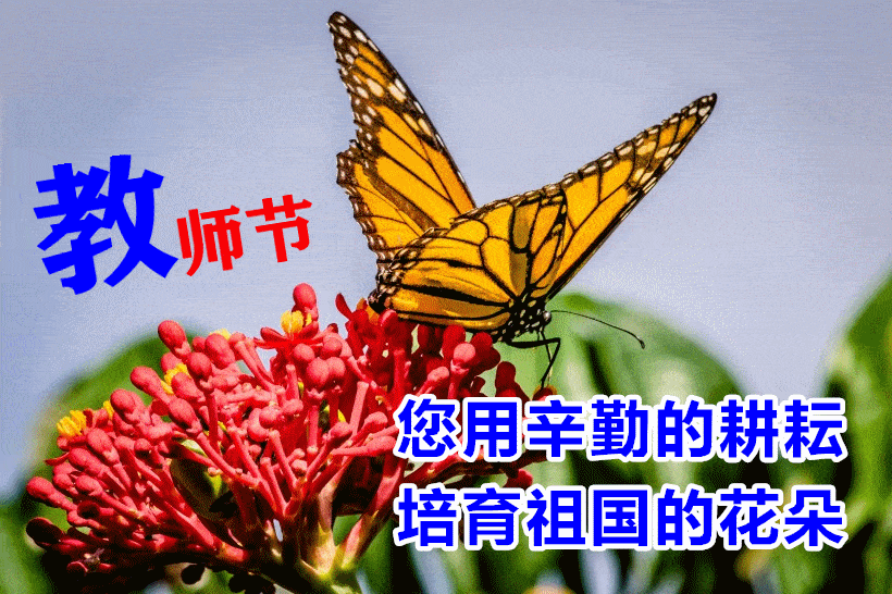 家长祝福教师节语简短_家长祝福教师的节日用语_教师节家长祝福语