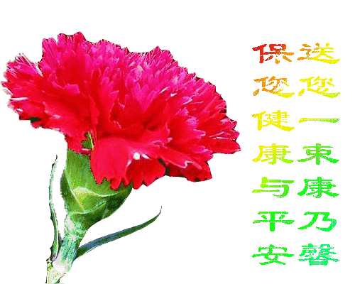 家长祝福教师节语简短_家长祝福教师节的祝福短语_家长对教师节祝福语