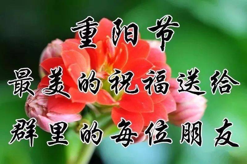 重阳节短信_重阳节祝福短信_重阳节祝福短信