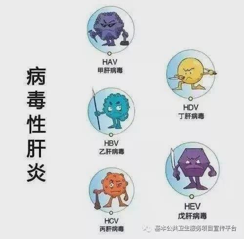 保定女子职业中专学校收费标准_保定女子职业中专电话_保定市女子职业中专学校