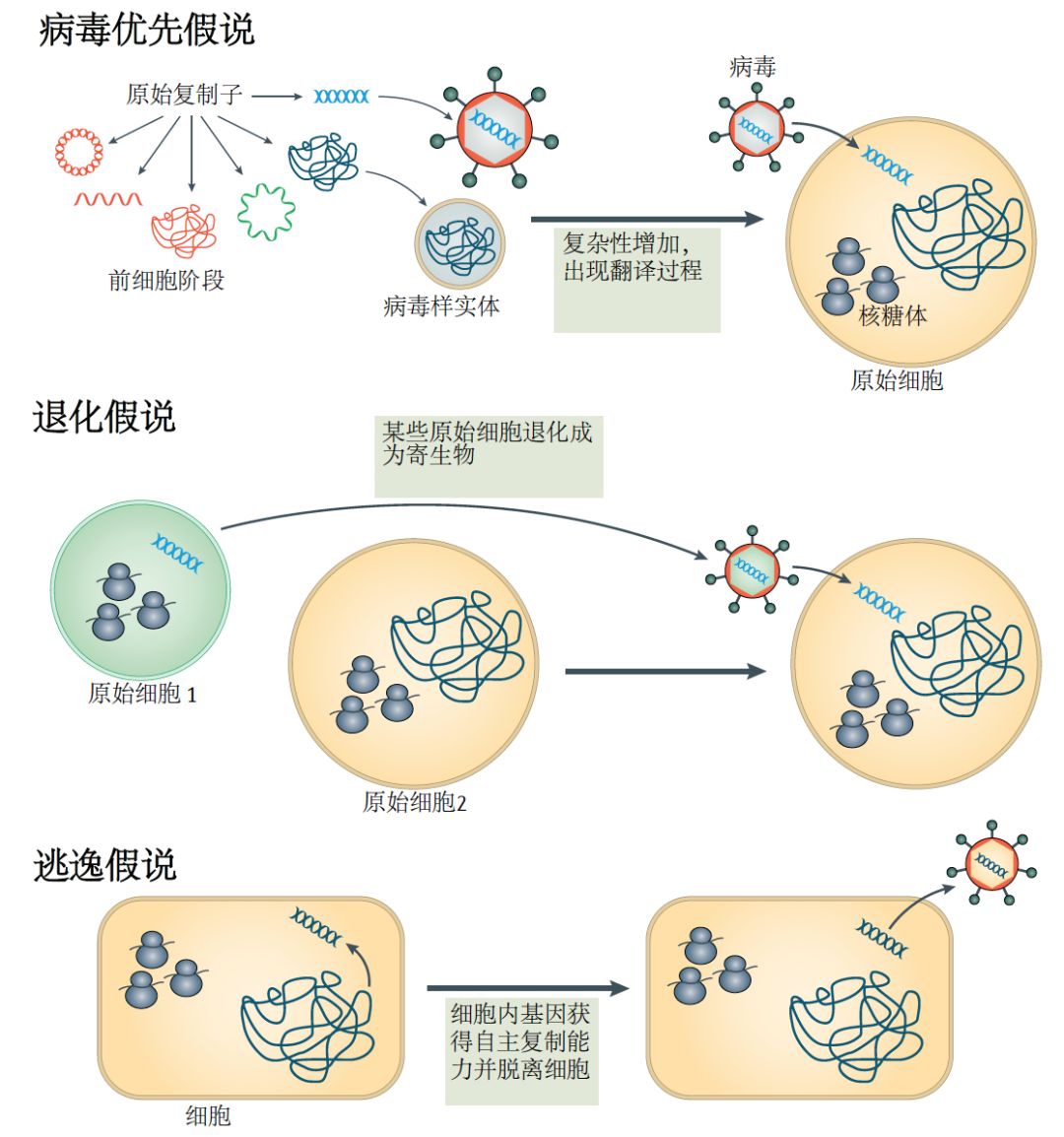 江苏侯集中学王金斗_江苏省侯集中学校长_江苏省侯集中学
