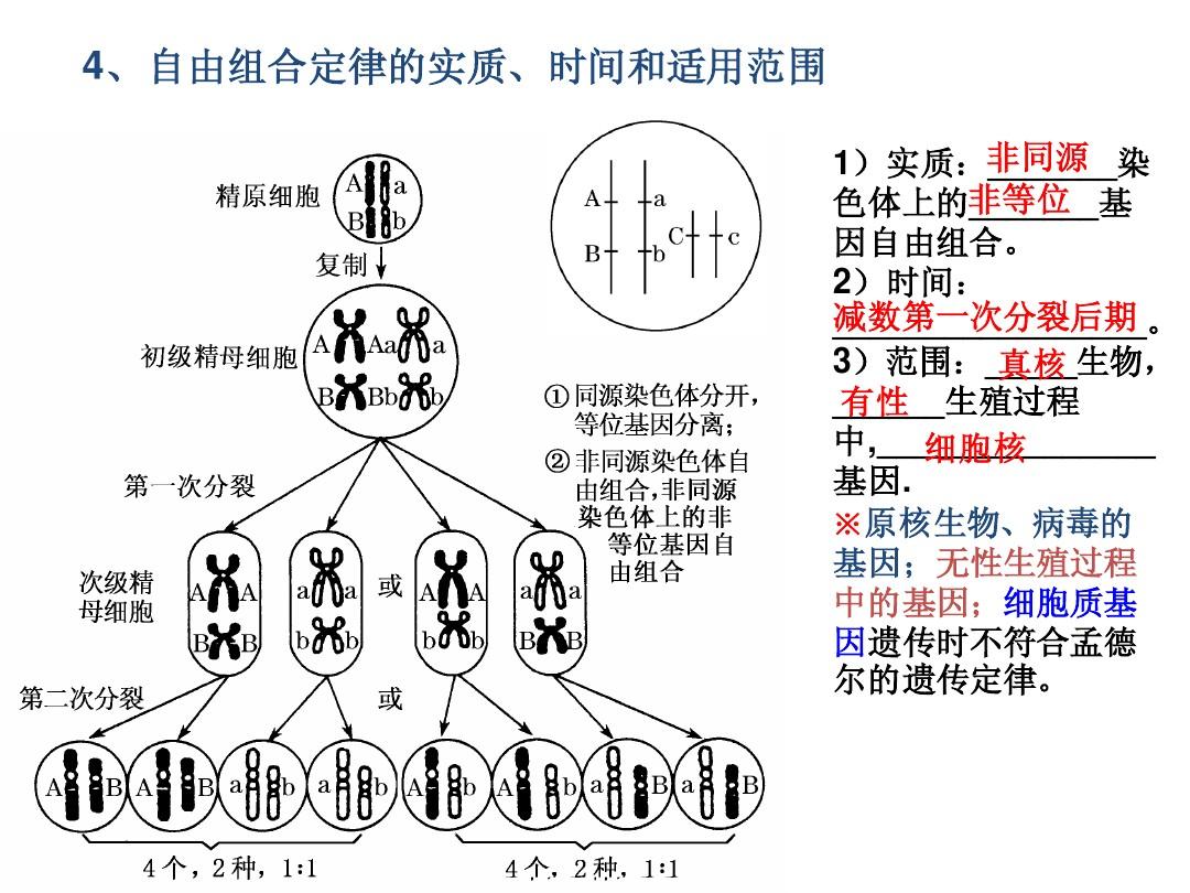江苏省侯集中学_江苏侯集中学王金斗_江苏省侯集中学校长