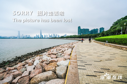 反义词望却步的成语_望而却步的反义词和近义词_望而却步的反义词
