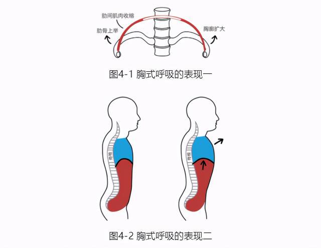 八段锦的好处有哪些_八段锦的好处_八段锦好处与坏处