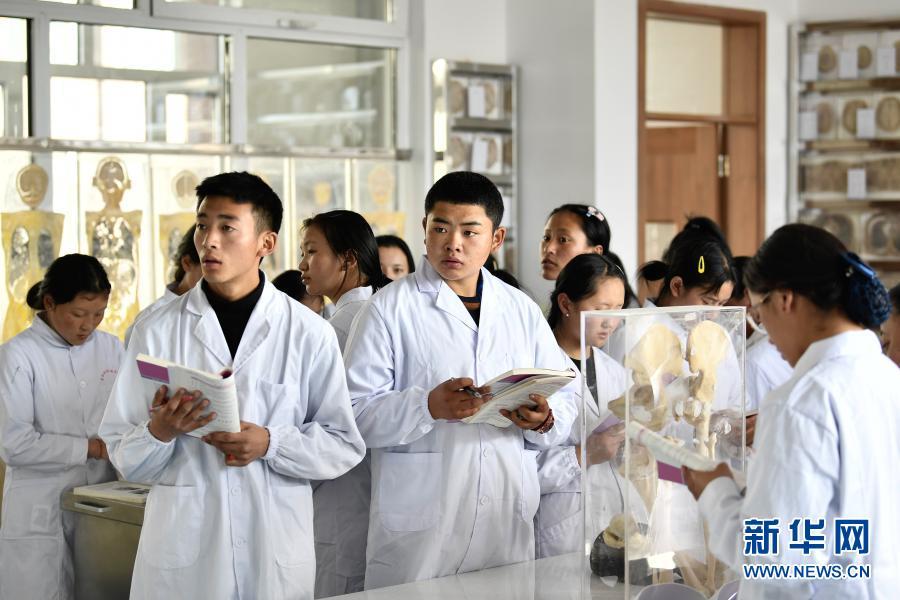 上海市卫生学校官网_上海市卫生学校地址_上海市卫生学校