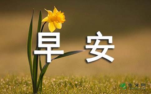 笨鸟先飞造句10字_笨鸟先飞造句_用飞鸟造句子