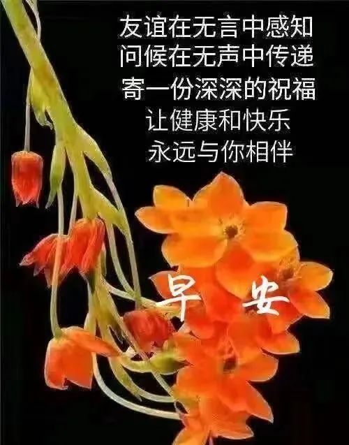 笨鸟先飞造句10字_用飞鸟造句子_笨鸟先飞造句