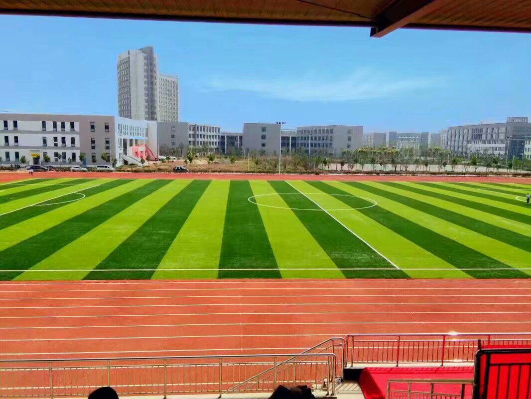 普洱学院的茶学怎么样_普洱学院是学什么的_普洱学院是几本