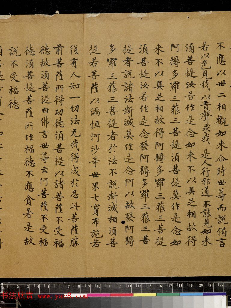 啵啰波罗密心经_波罗密多心经_菠罗密心经