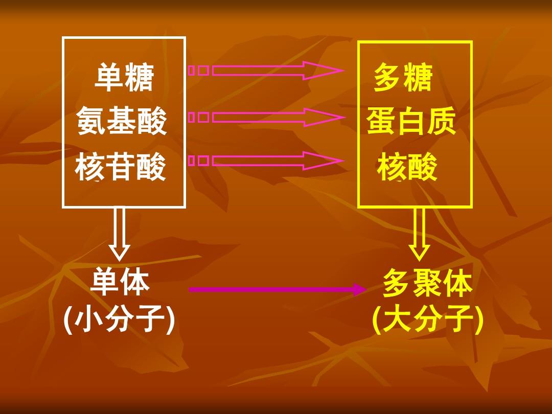 空军军医大学_空军军医大学西京医院_空军军医大学第一附属医院