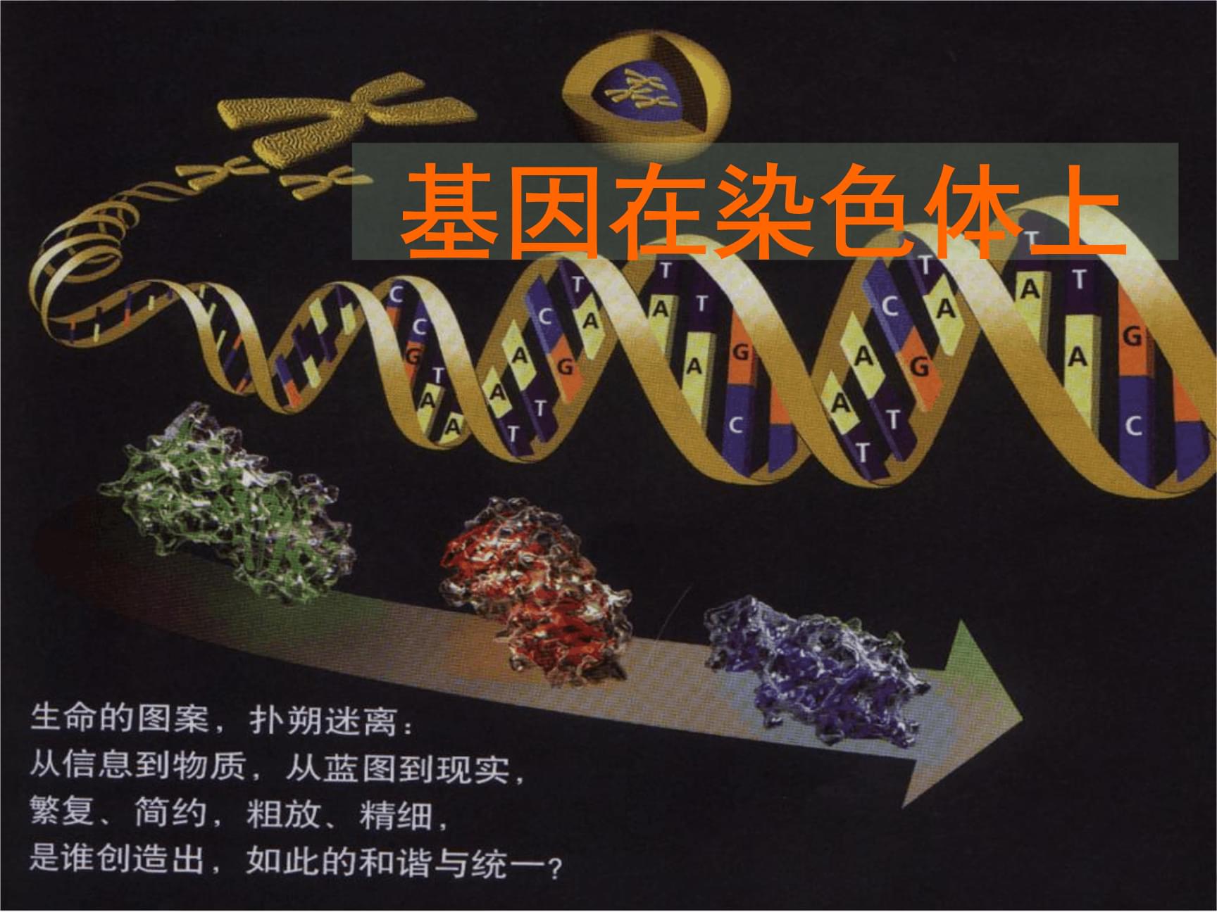 合作的图像_合作用途_光合作用图解