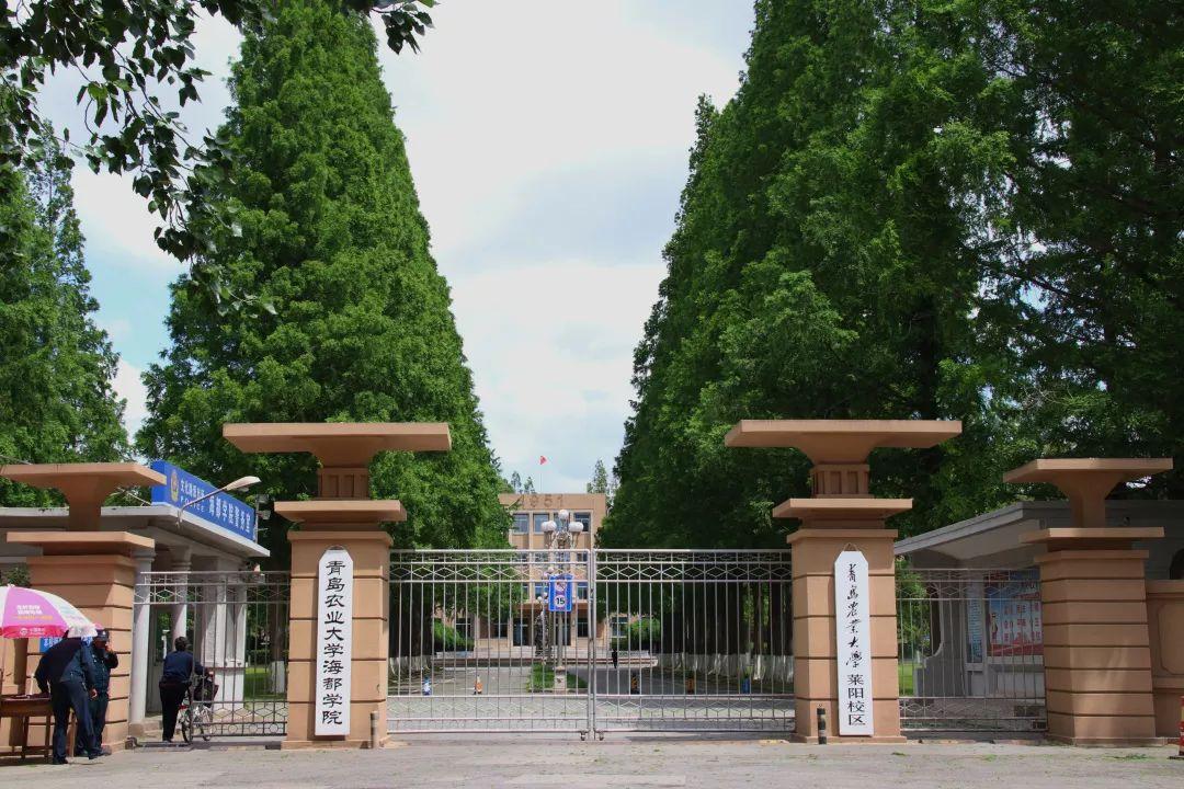 电白春华学校怎样_电白区春华学校官网_电白春华学校