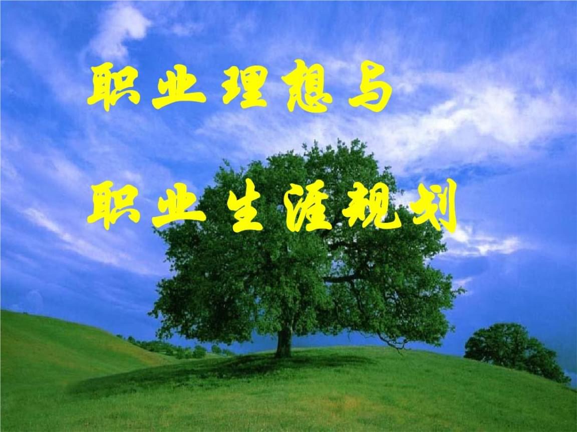 职业生涯规划书怎么写大学生_大学生职业生涯规划书书写格式_大学生职业生涯规划书范文
