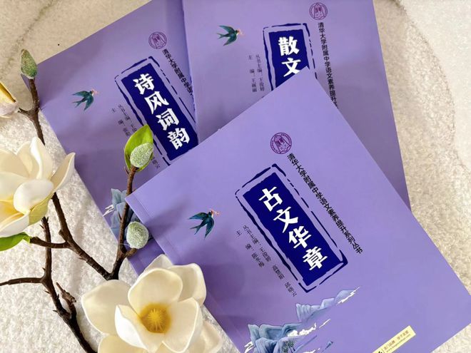 基础综合教育学专业是什么_基础综合教育学专业知识_教育学专业基础综合