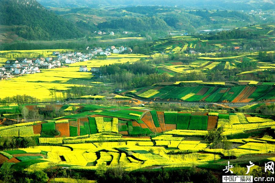 百家姓最新排行榜2023_百家姓最新排名1一100名_百家姓最新排名
