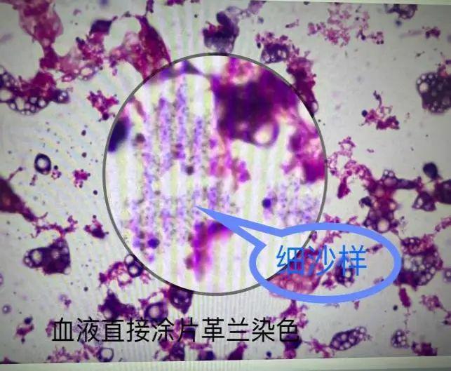 临沂矿务局_临沂矿务局地址_临沂矿务局总经理是谁