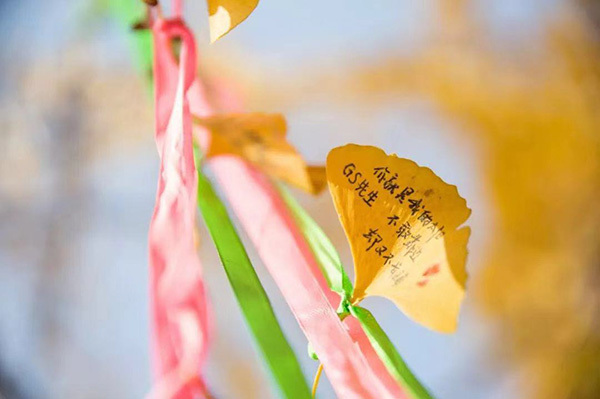 金陵河西中学招生电话多少_金陵中学河西分校_金陵河西中学好不好