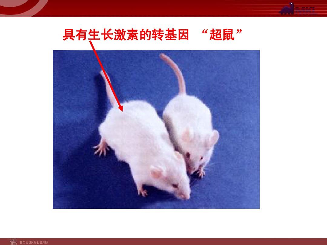 除四害计划工作表_除四害工作计划_除计划工作四害还有哪些