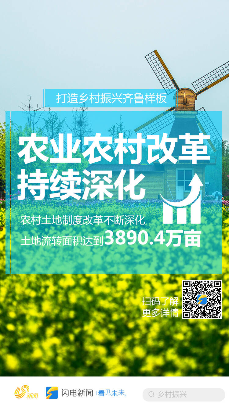 乡村振兴组织振兴怎么写_乡村组织振兴_乡村振兴组织