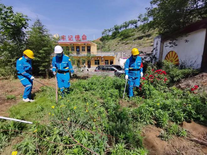 石化工业学校_石化工业学校官网_薛之谦石化工业学校
