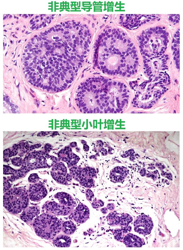 3.暨南大学_暨南大学_暨南大学study