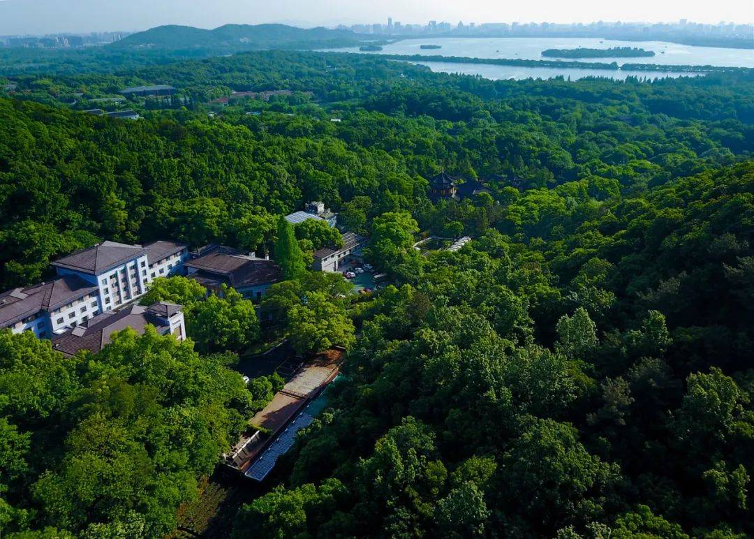 浙江省杭州高级中学高考喜报_浙江省杭州高级中学_杭州高级中学总校