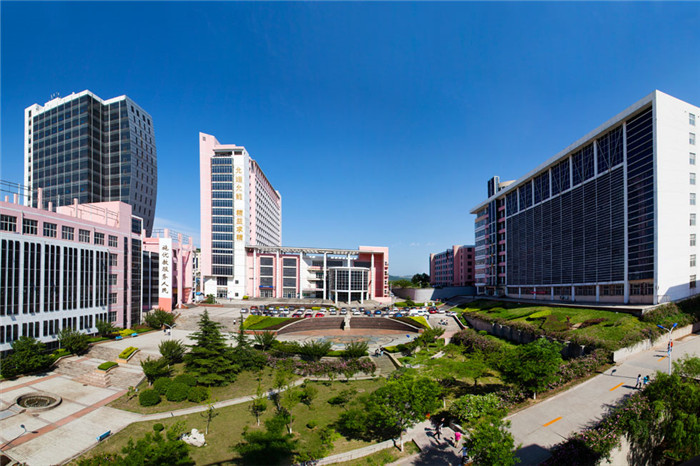 专科公办云南排名学校有哪些_云南公办专科学校排名_专科公办云南排名学校