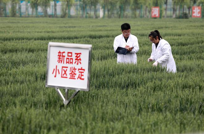 潍坊新华中学_潍坊新华中学怎么样_潍坊新华中学地址在哪条路上
