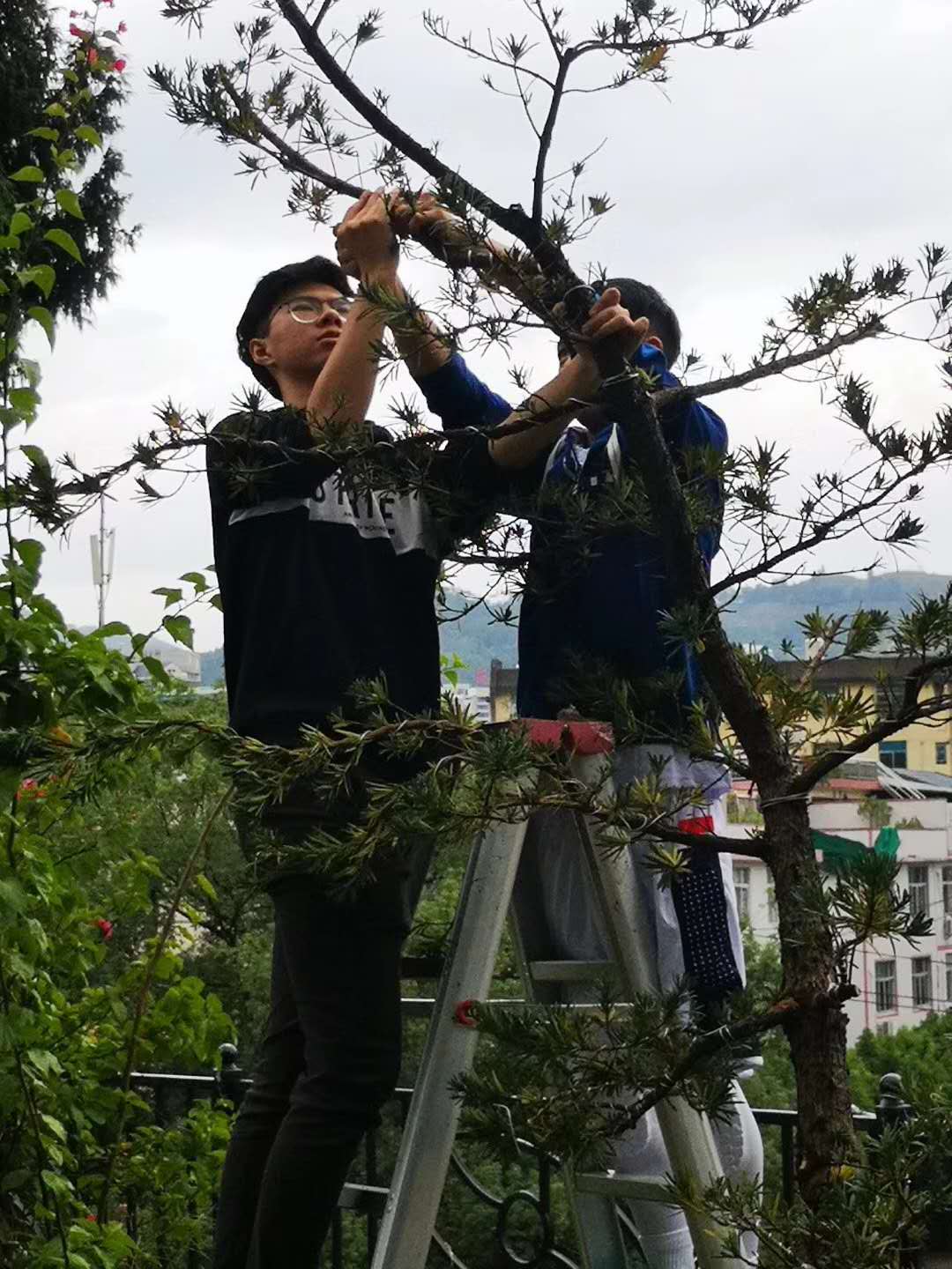 园林工程技术_园林工程技术属于什么大类_园林工程技术是干什么的