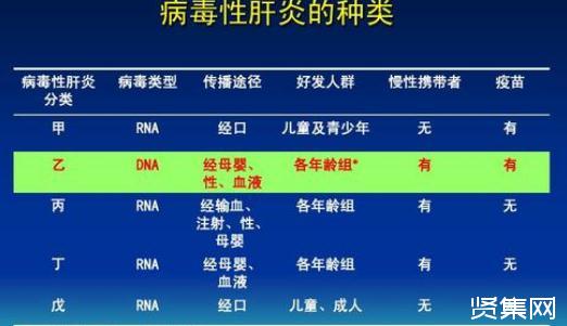 预防传染病手抄报_传染预防病手抄报图片_传染及预防手抄报