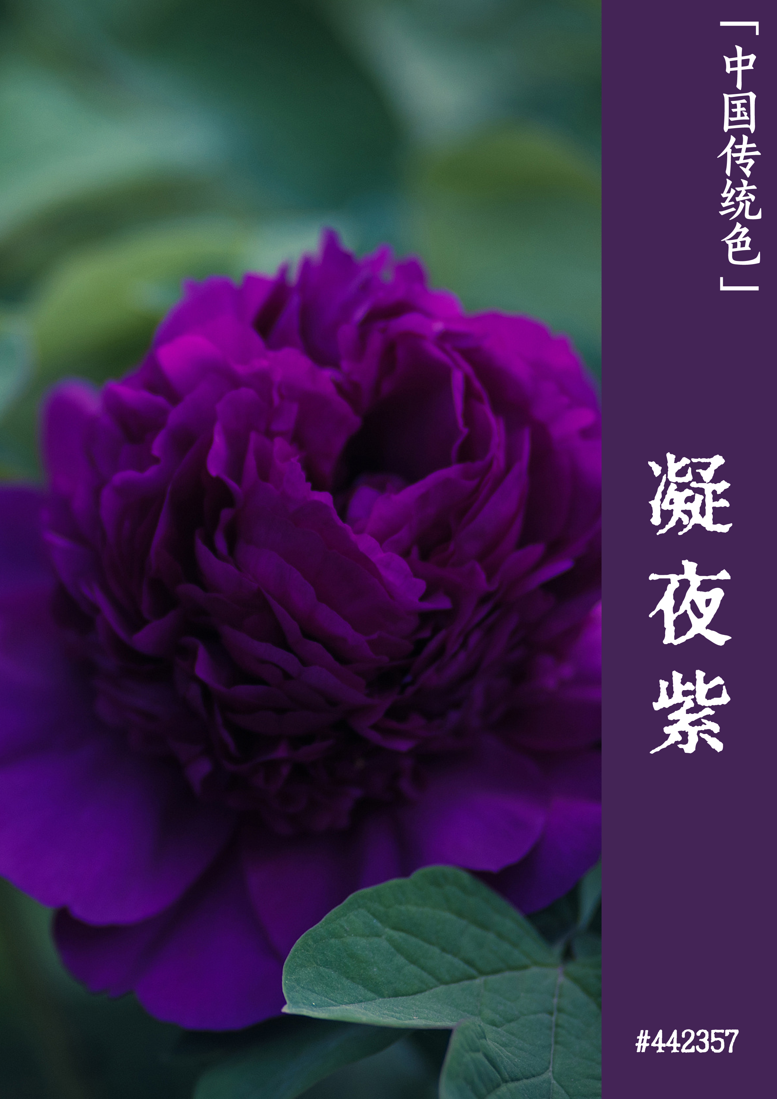 行政主要负责的工作_行政负责主要工作内容_行政工作主要负责什么