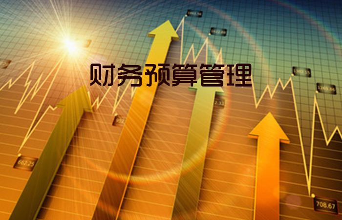 年终财务工作总结及工作计划_年终财务总结工作报告_财务年终工作总结