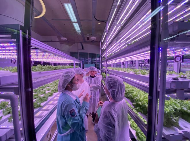 初三英语总结教学工作内容_初三英语教学工作总结_初三英语教学总结初三英语教学