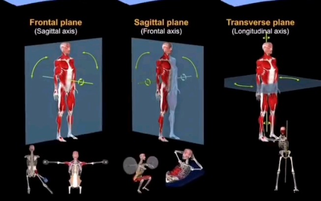 吕梁大专学校排名_吕梁的专科学校_吕梁高等专科学校