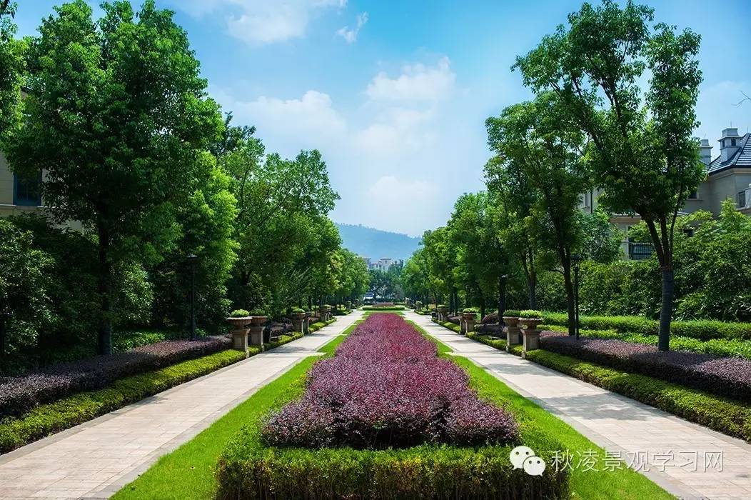 数学计划怎么写10条_数学计划内容_数学学习计划