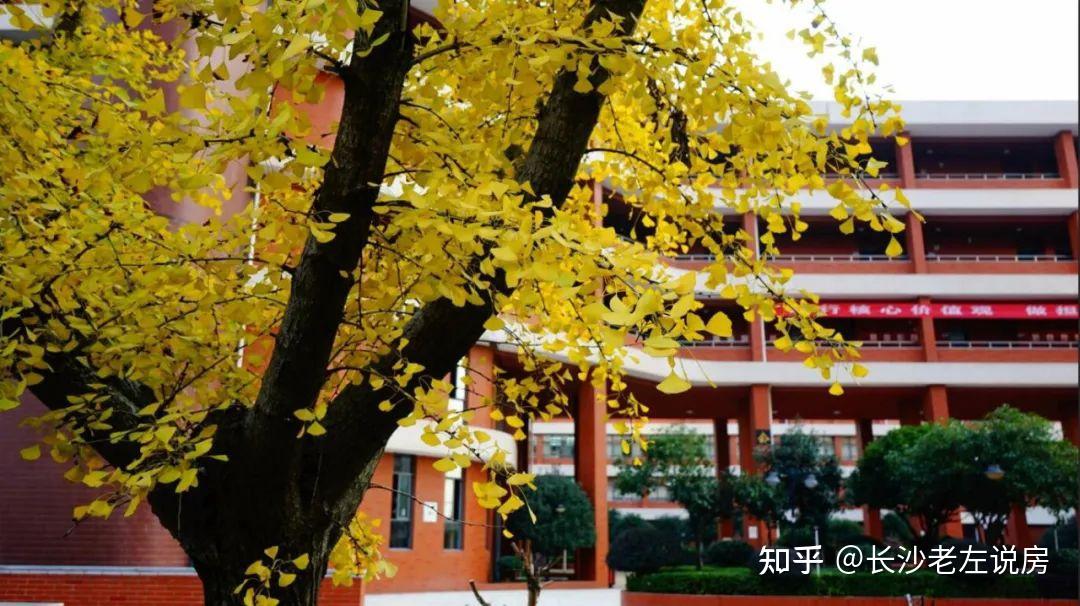 潍坊科技学院是啥学校_潍坊科技技术职业学院_潍坊科技学院怎么样