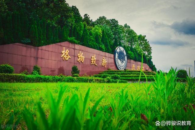 山东优势大学专业排行榜_山东大学优势专业_山东的大学的专业排名