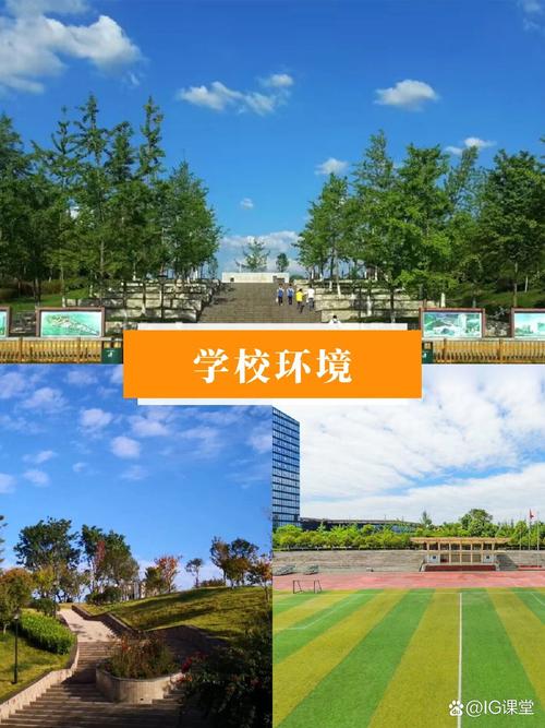 成都市工业职业技术学校_都市职业学校好不好_都市职业技术学院